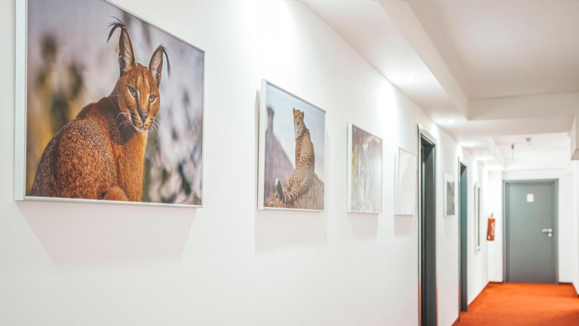 Malkia Penzion Orechová Potôň Esterno foto
