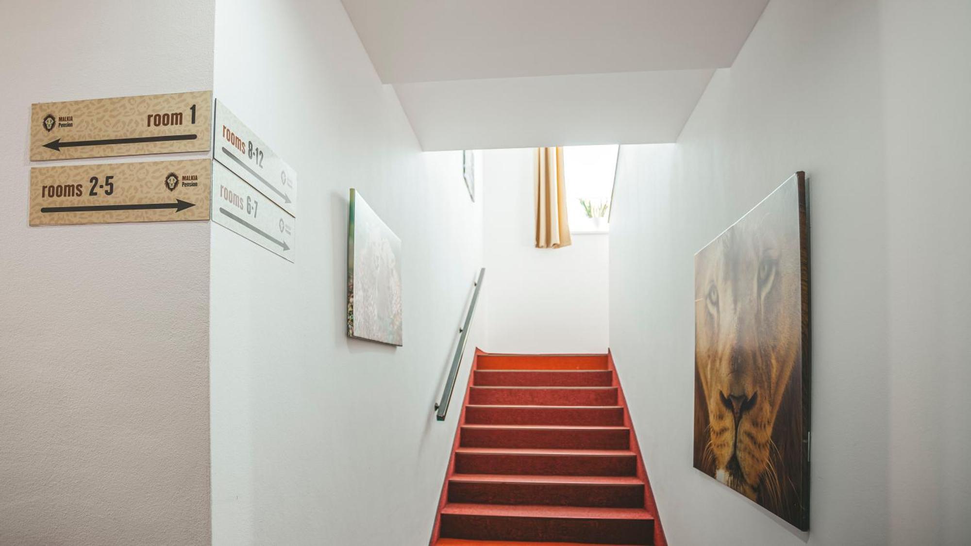 Malkia Penzion Orechová Potôň Esterno foto