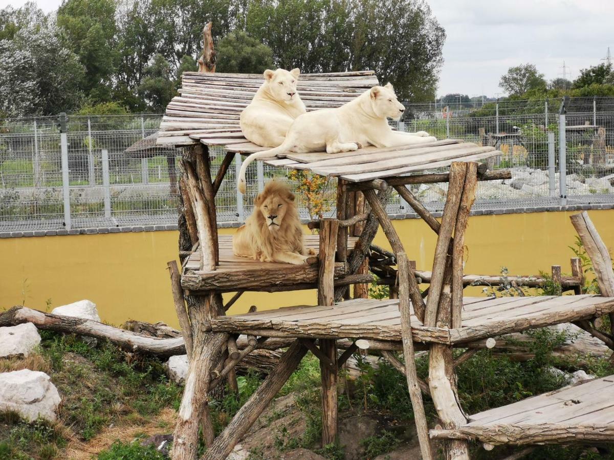 Malkia Penzion Orechová Potôň Esterno foto